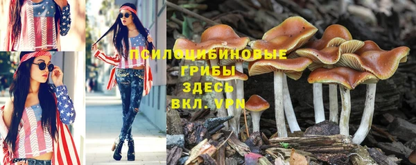 ALPHA PVP Семикаракорск