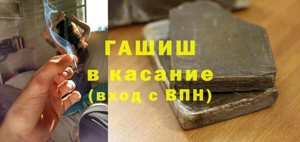 шишки Снежногорск