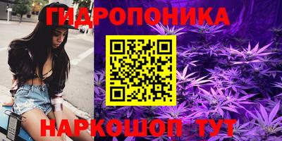 ГАЛЛЮЦИНОГЕННЫЕ ГРИБЫ Гусиноозёрск