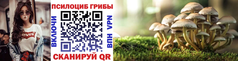 Галлюциногенные грибы GOLDEN TEACHER  где купить наркоту  Коломна 
