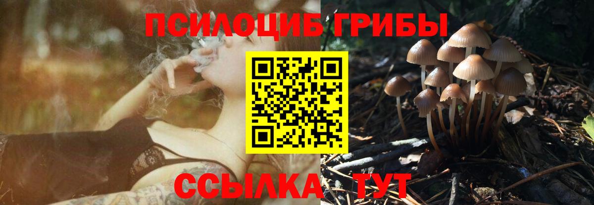 Коломна  что такое   Вход с VPN  Галлюциногенные грибы ЛСД 